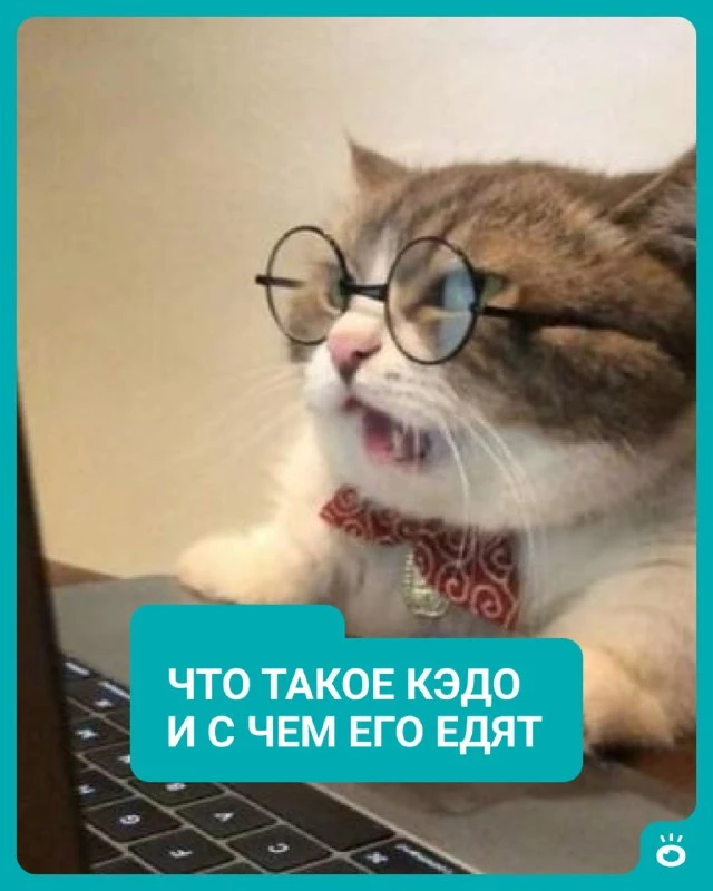 У вас есть на работе КЭДО?