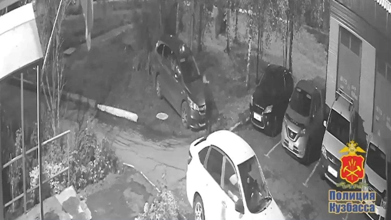 🚓 В Прокопьевске у жителя Новокузнецка нашли более 10 госномеров