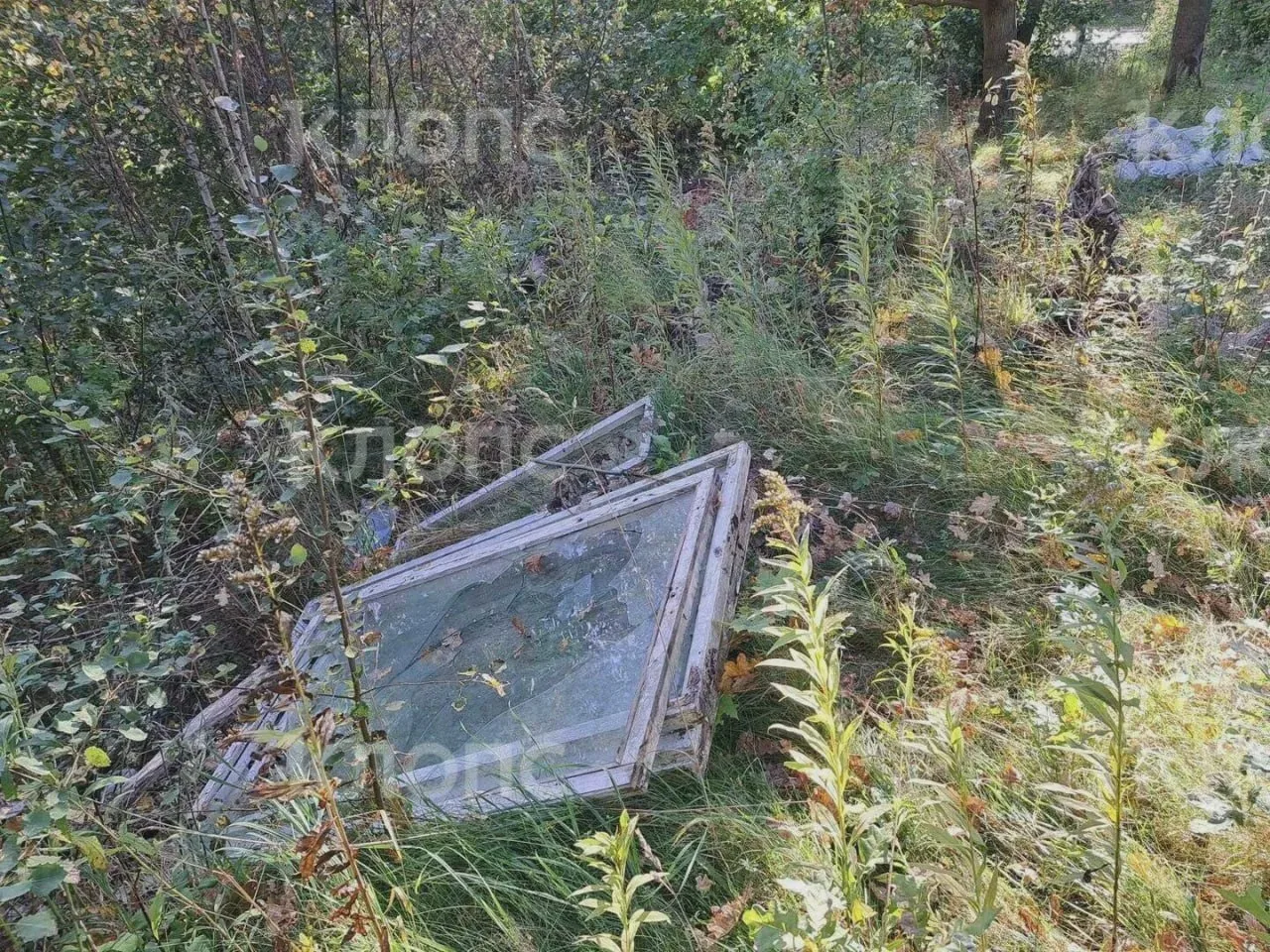 🌲 Мусор лежит у дороги к Камню лжи