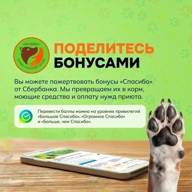 Друзья! Вы можете пожертвовать свои бонусы "спасибо" от Сбербанка.