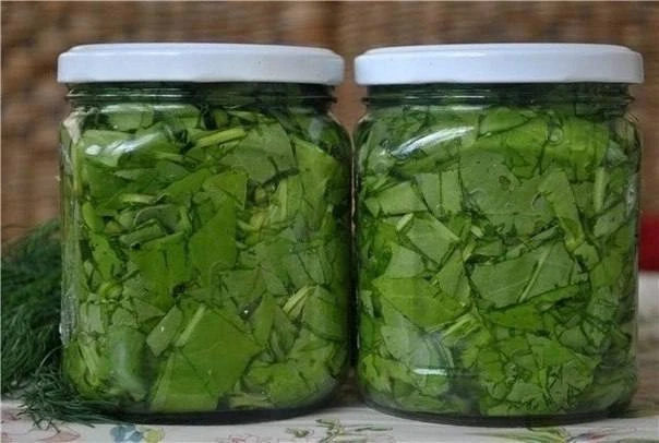 КОНСЕРВИРОВАННЫЙ ЩАВЕЛЬ