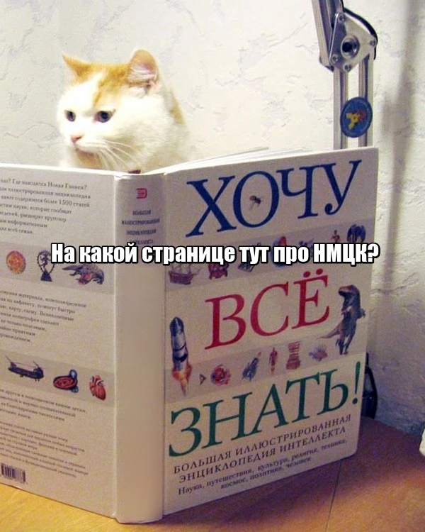 НМЦК у едпоставщика без штрафов и паники: разберите алгоритм нацрежима за один урок  Сотрудник контр