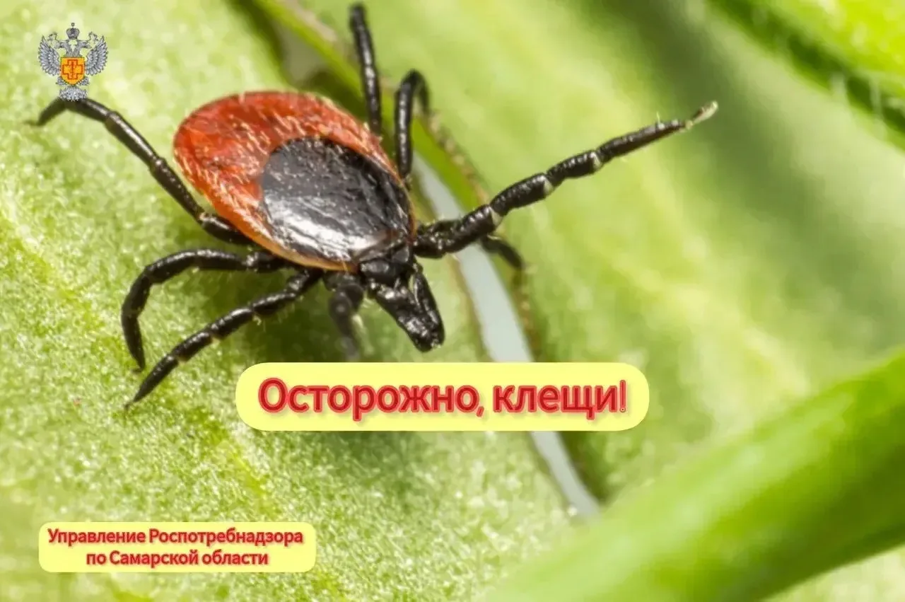 ✅️Управление информирует, что всего с начала эпидемического сезона в Самарской области зарегистриров