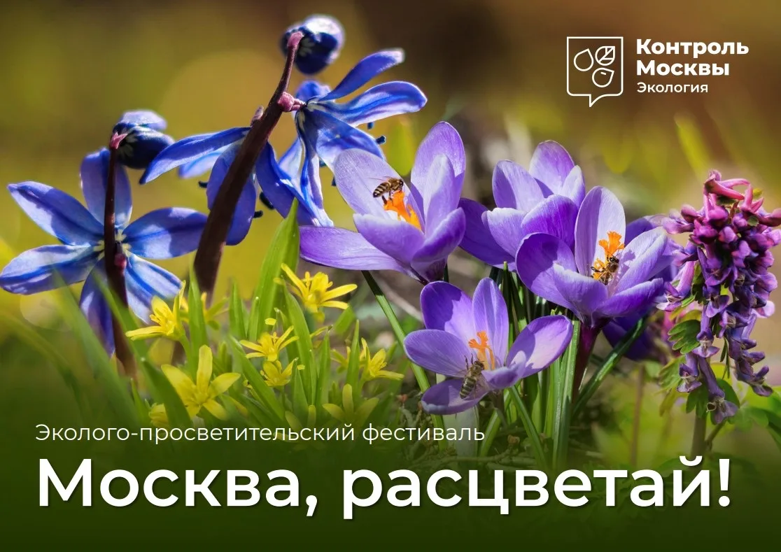 Приглашаем на эколого - просветительский фестиваль «Москва, расцветай!»!  Департамент природопользов