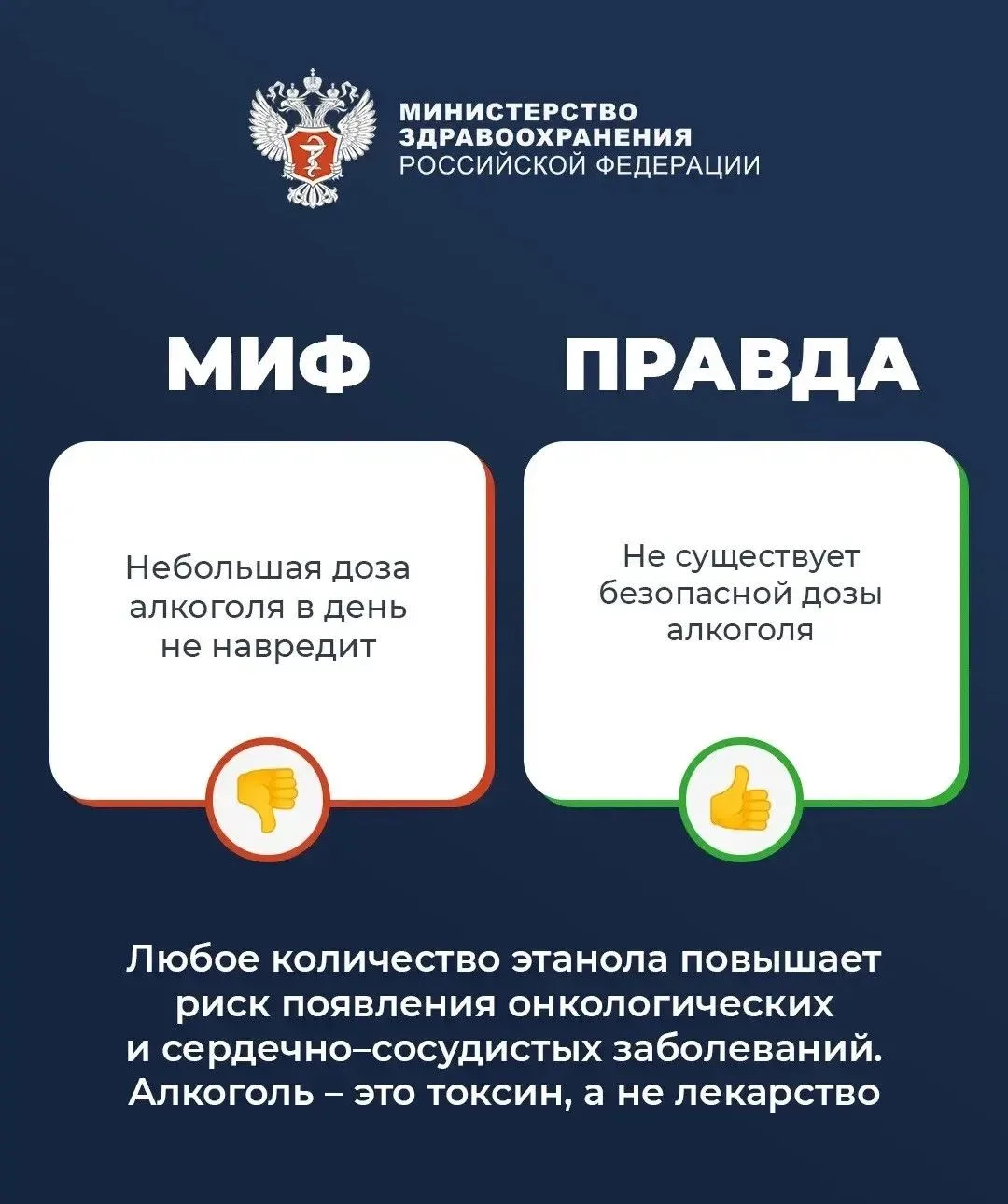 🛑 «Бокал вина для сосудов» или тихий враг? Развенчиваем мифы об алкоголе вместе с Городской поликли