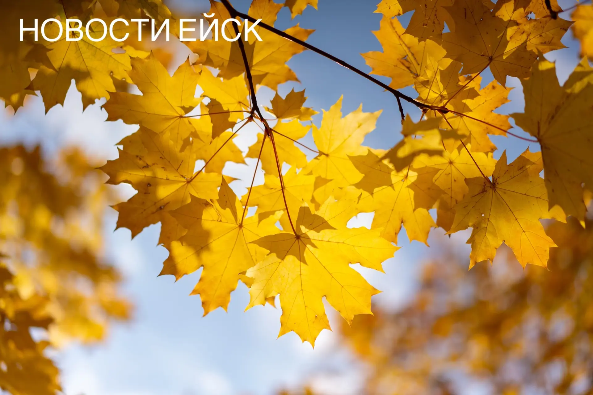 🍁 Астрономическая осень начнется 23 сентября.