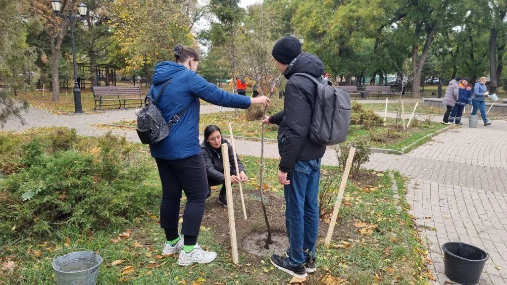 240 деревьев и 320 кустарников высадят в Таганроге 17 октября