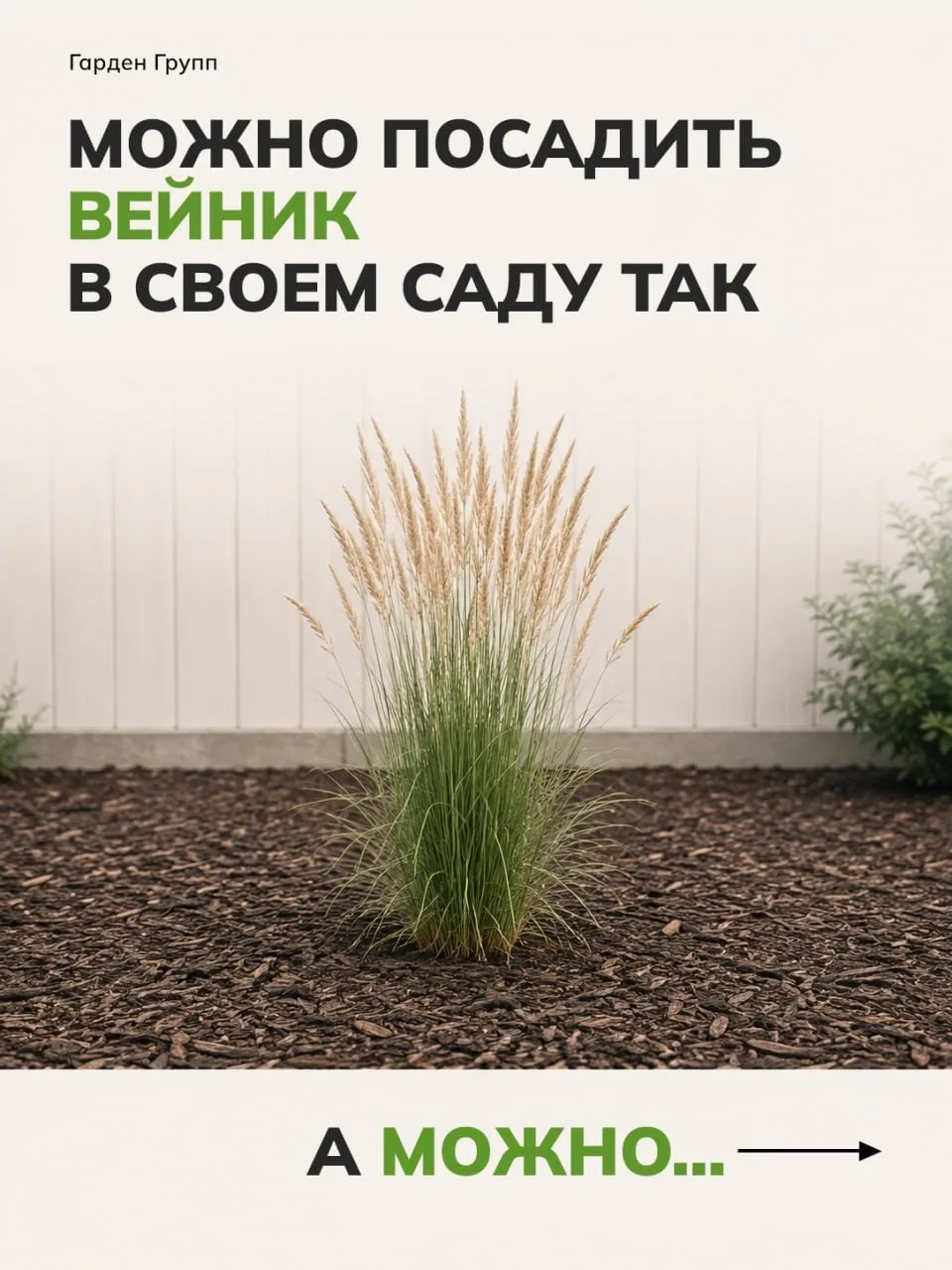 ⁉️ Как посадить вейник