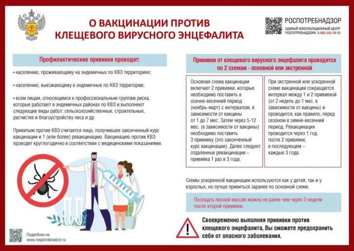О мерах профилактики клещевого вирусного энцефалита (КВЭ)