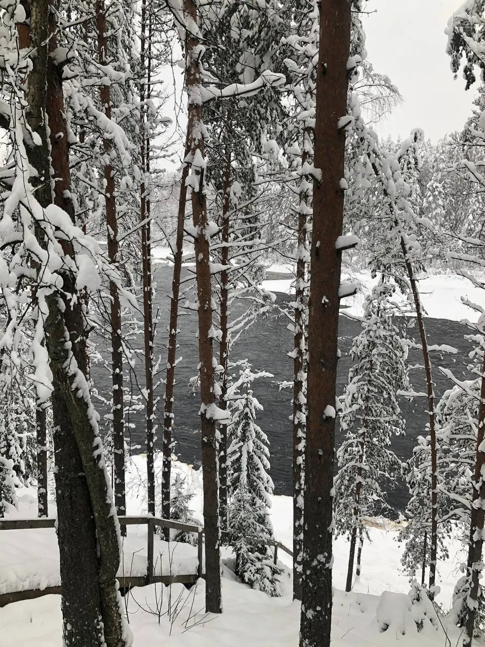 Рождественские забавы в Карелии ☃️🎄