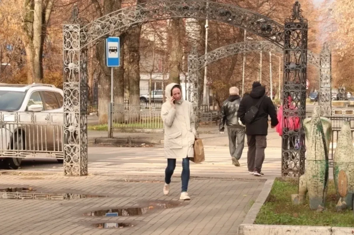 Новости Черноземья 1 октября: тепло по заявкам, обыски, антибиотики в еде