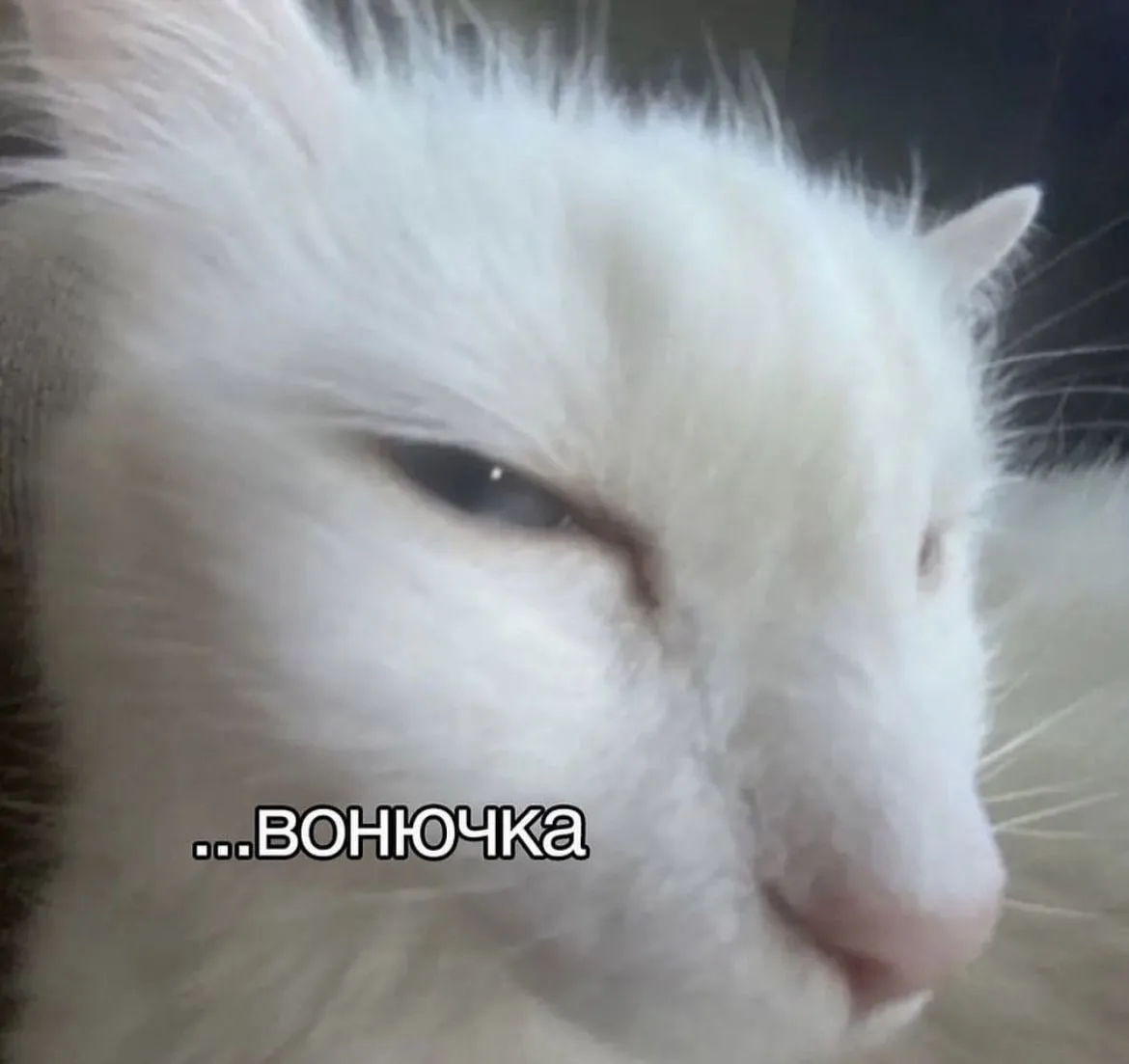 🤮 Воняй-соблазняй 🤮