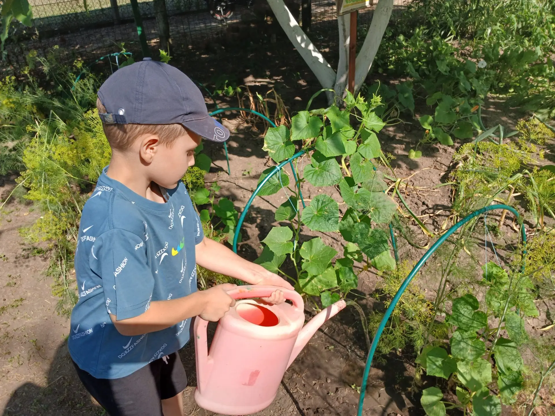 #Агротруд,   наши огородные новости!🥒🥬🥦🧄🧅
Вот пойду-ка в огород, Посмотрю, что там растёт. Обой