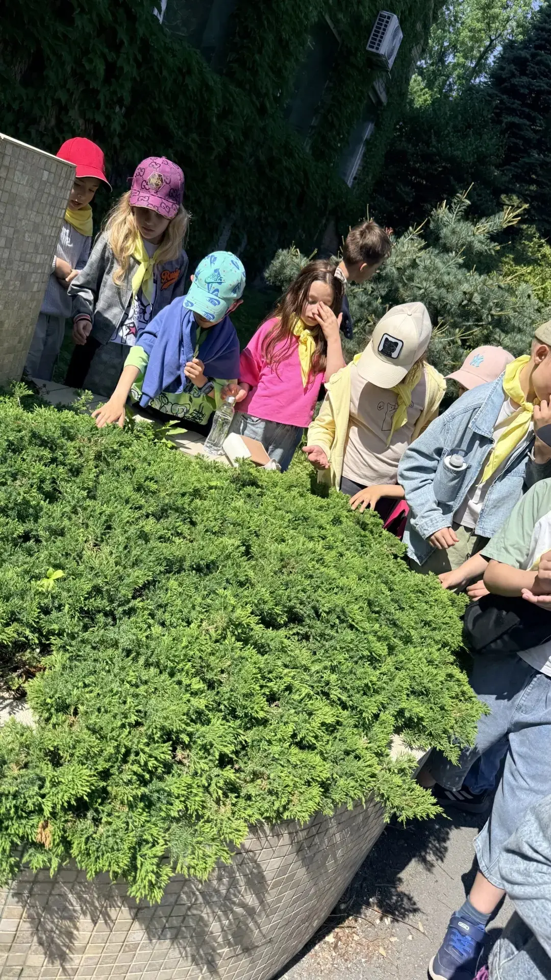 🌿 11 июня второй отряд отправился на увлекательную экскурсию в ботанический сад!
Гид Ольга Михайлов