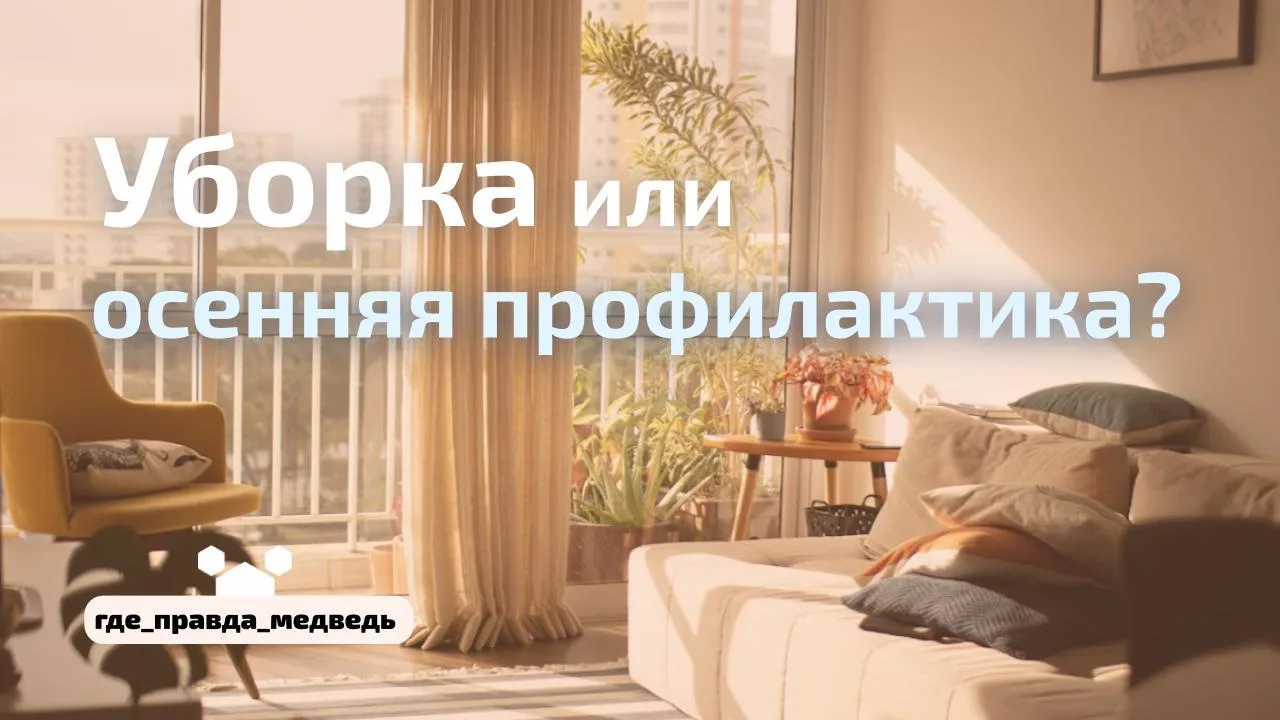 🧹Наш дом - осенью: что в доме влияет на самочувствие