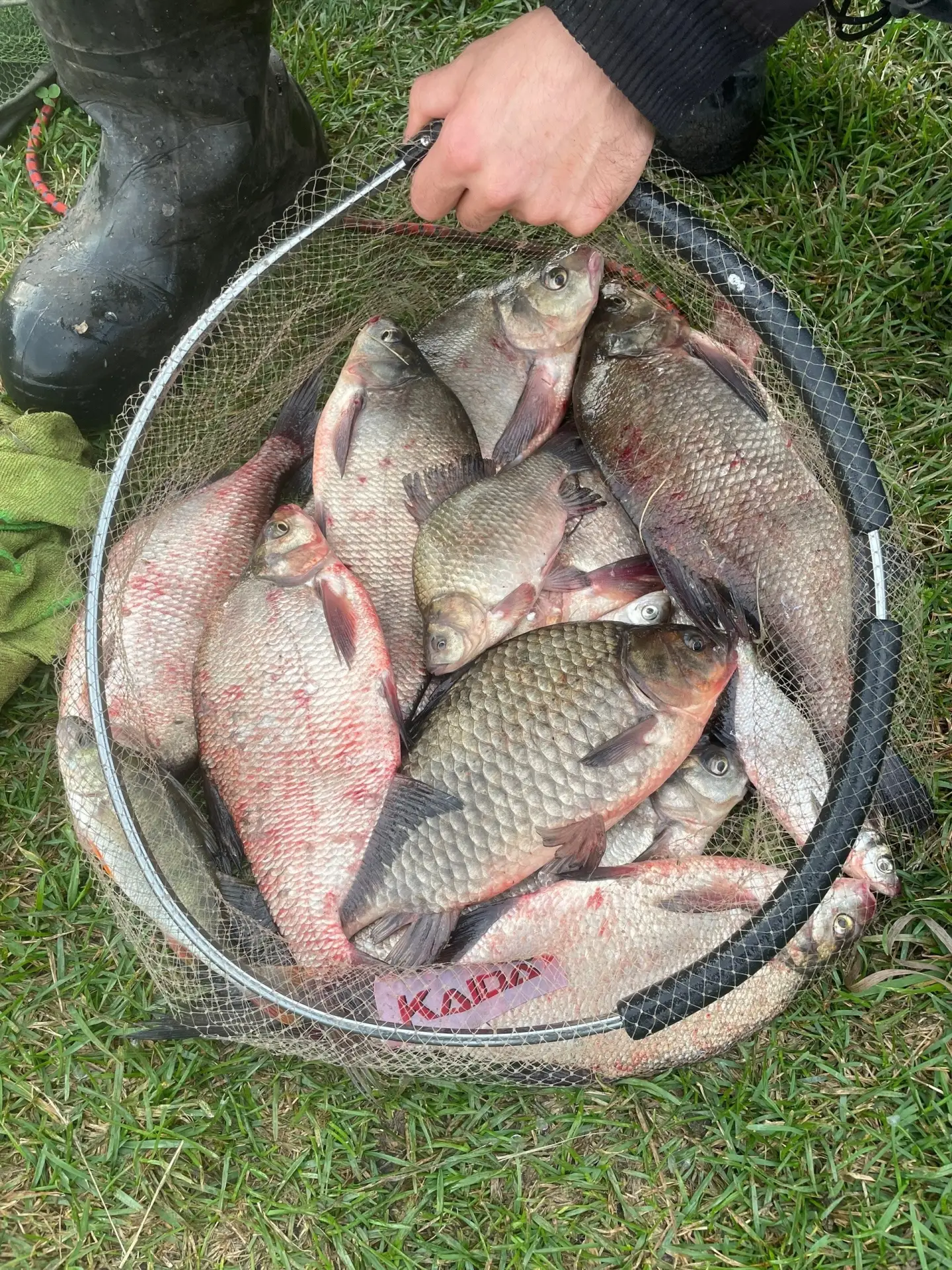 Дудергофский канал 🎣