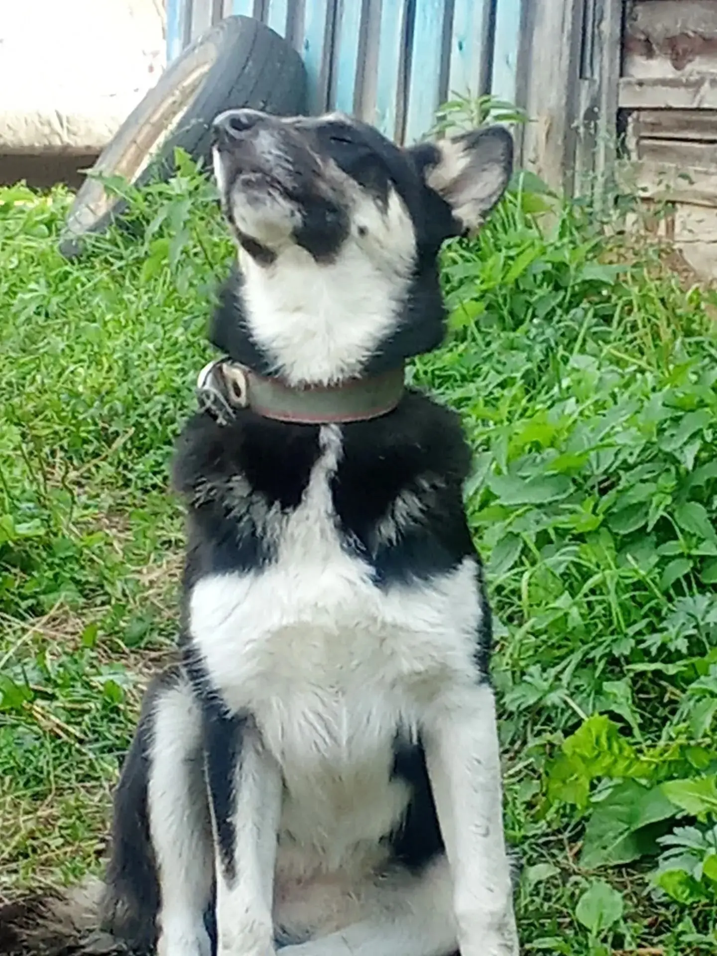 Нижний Тагил