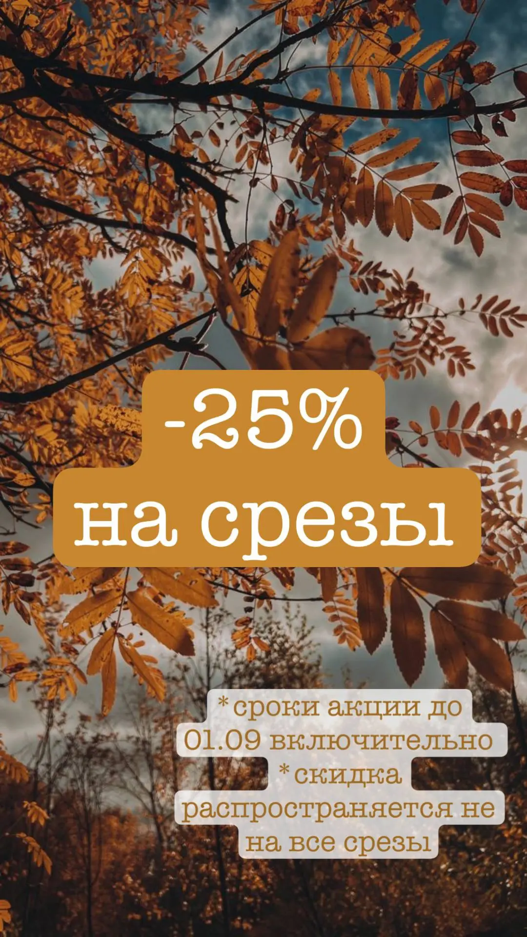 РАСПРОДАЖА -25% к 1 сентября! 🍂