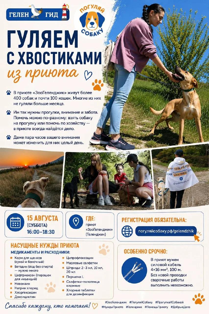🐾 Прогулка с хвостиками из приюта

15 августа у собак из приюта «ЗооГеленджик» появится шанс выйти 