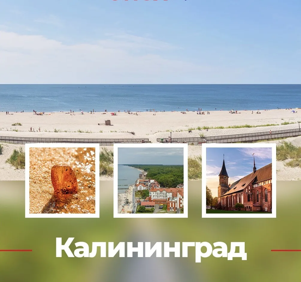 Отдых в Калининграде — это не только прогулки по городу, посещение музеев и изучение ар...