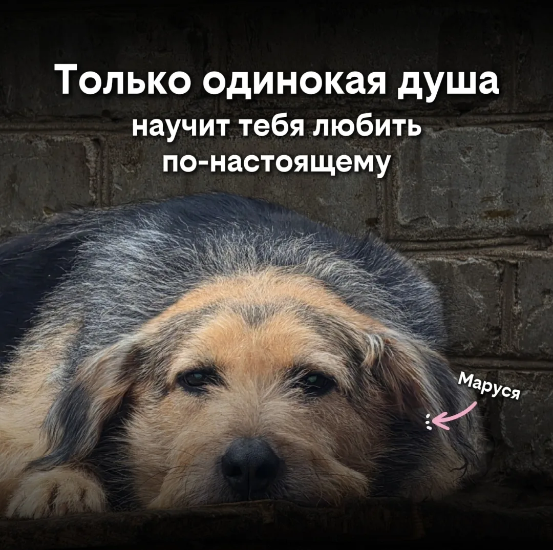 Возможно это безумие с моей стороны ( подумаете вы) - то как же сильно можно любить тог...