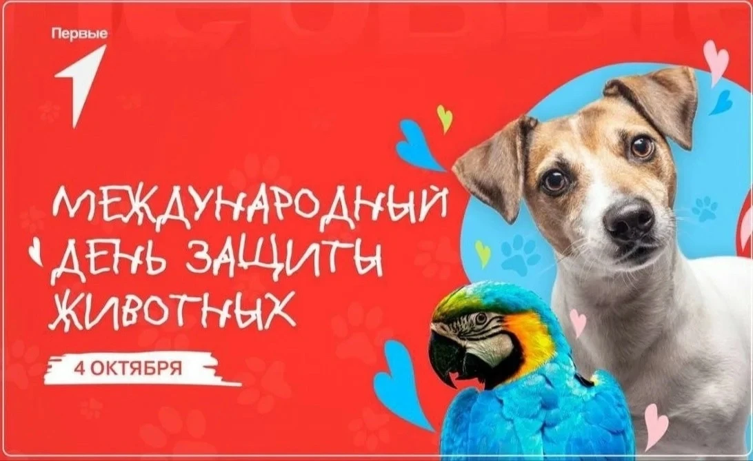 🐾 День защиты животных 🐾