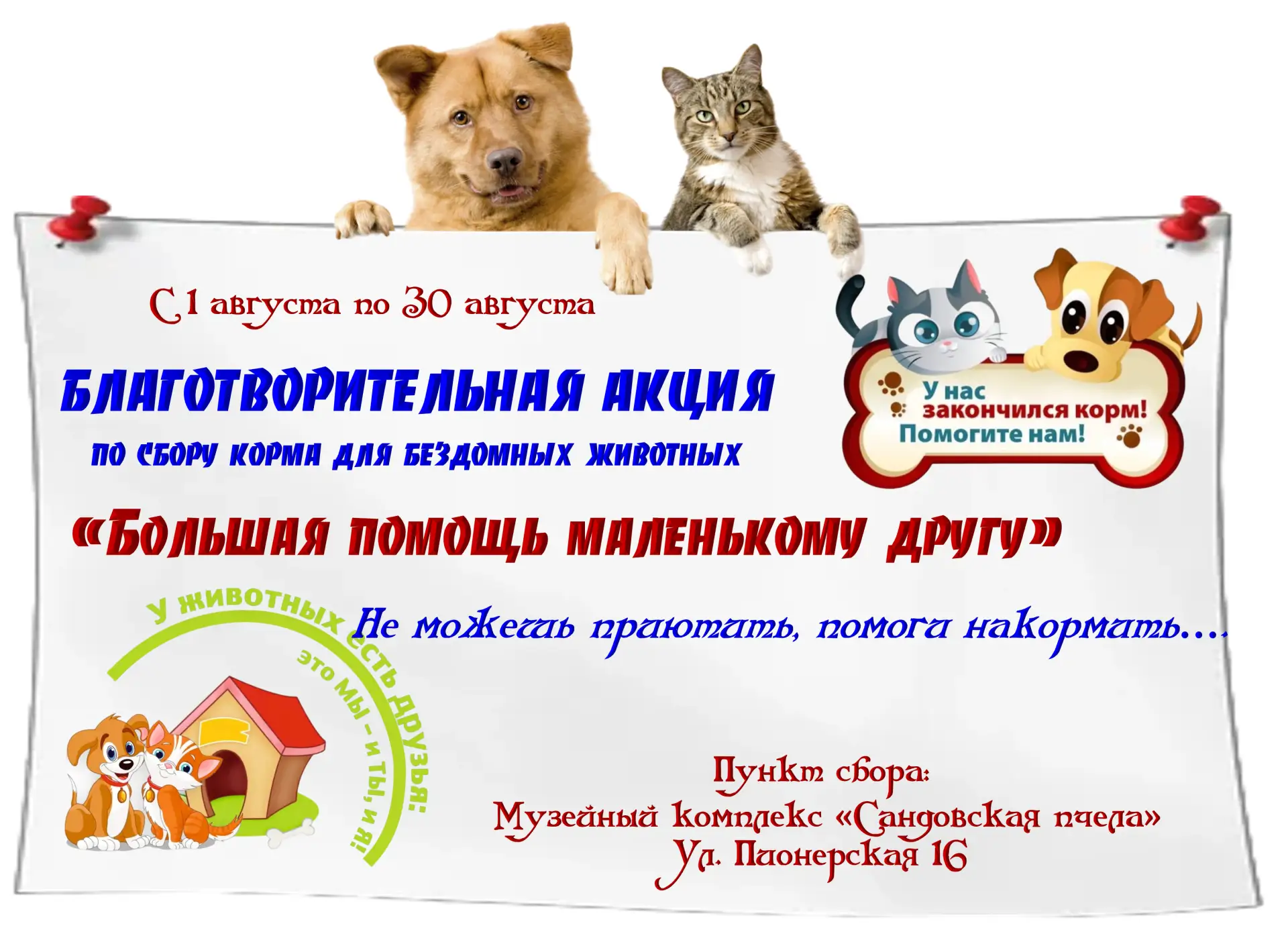 🐶🐱«Большая помощь начинается с маленького шага"