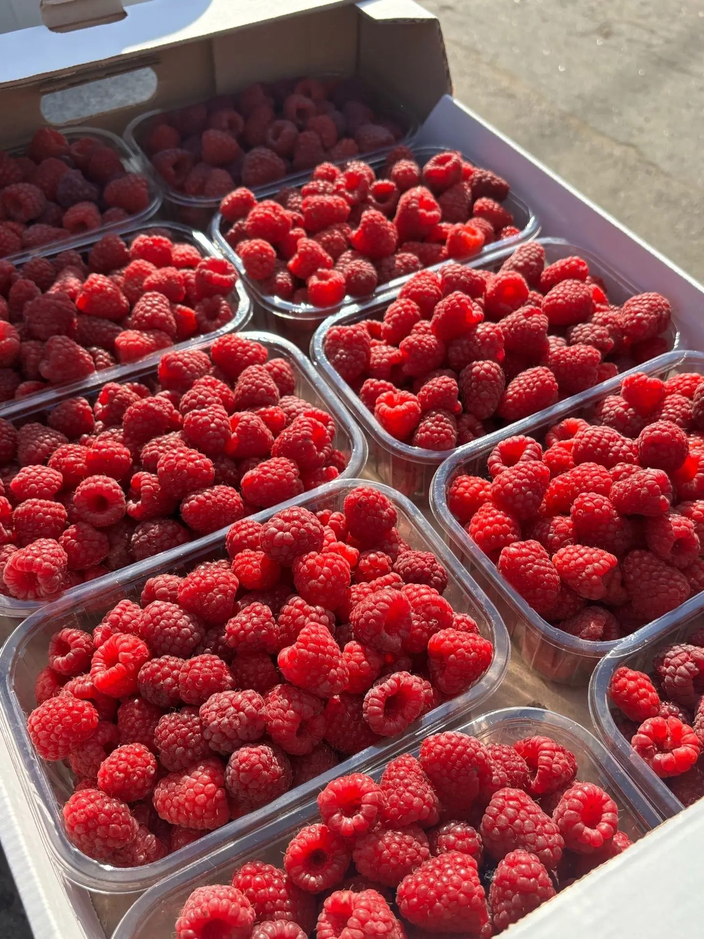 На завтра, 17.09.2026г запланирован сбор 🍓 малины при благоприятных погодных условиях ...