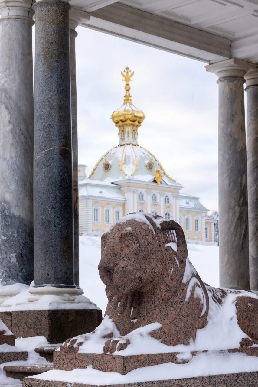 Зима в Нижнем парке ❄️  #петергоф_подборка