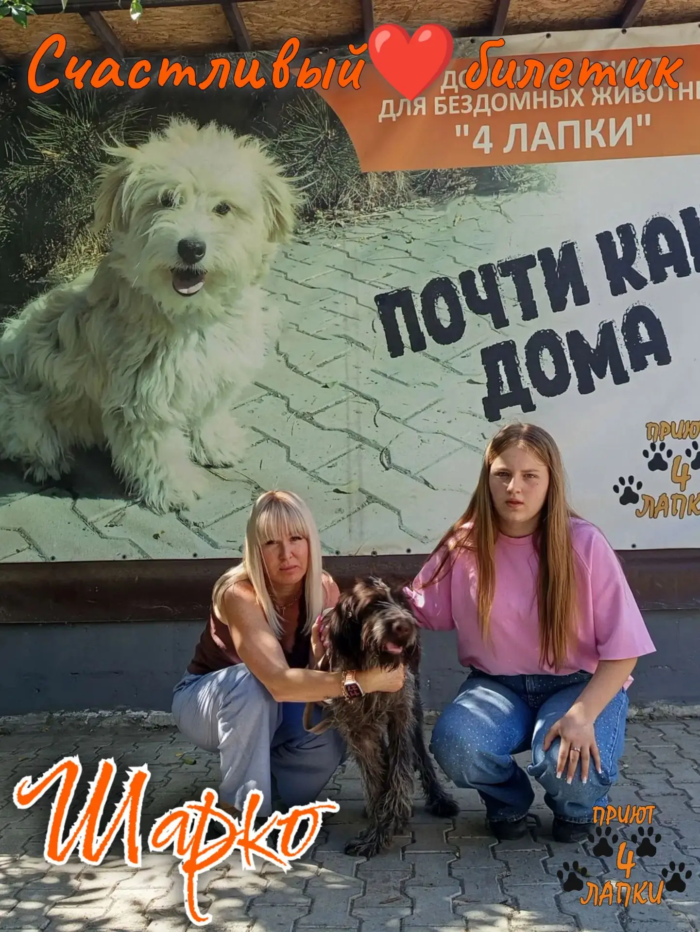 Всего 10 дней понадобилось нашему подопечному, чтобы его жизнь развернулась дважды на в...
