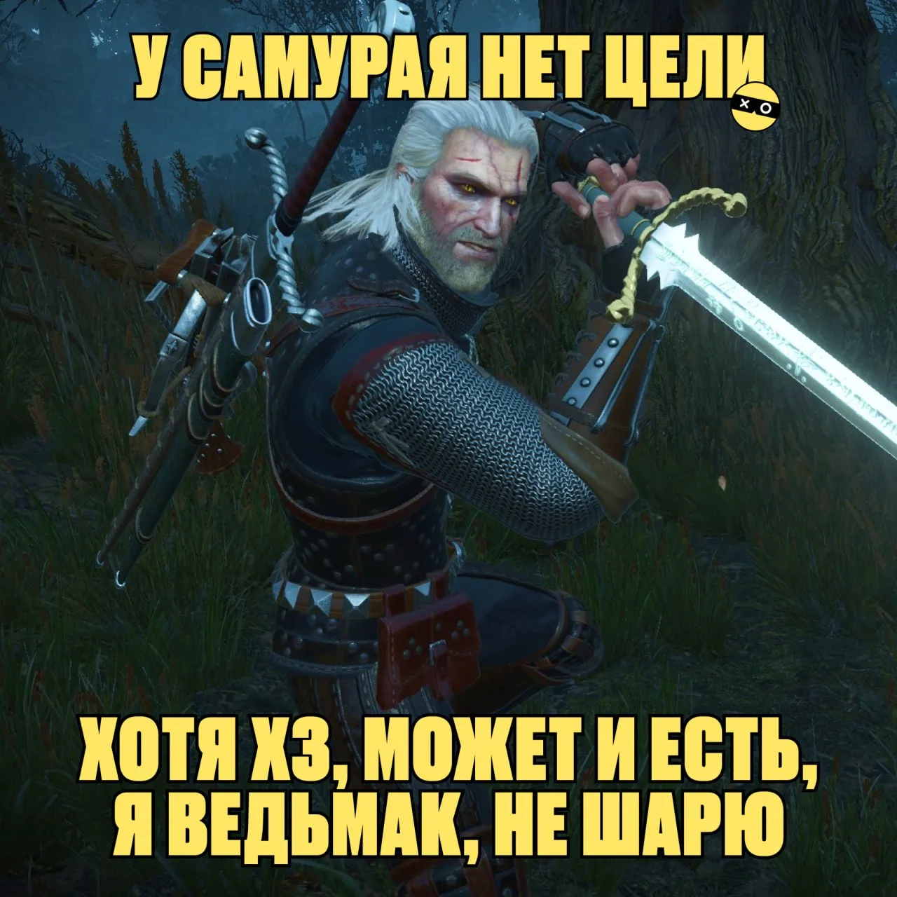 Главная цель ведьмака...