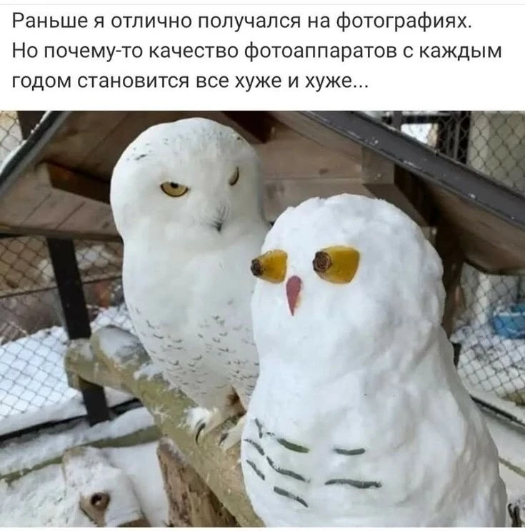 Подпишись на юмор 😂