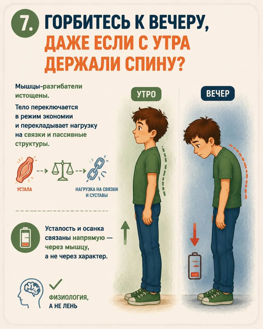 Тело никогда не делает ничего просто так.  Подёргивание при засыпании, мурашки от музыки, дрожь посл