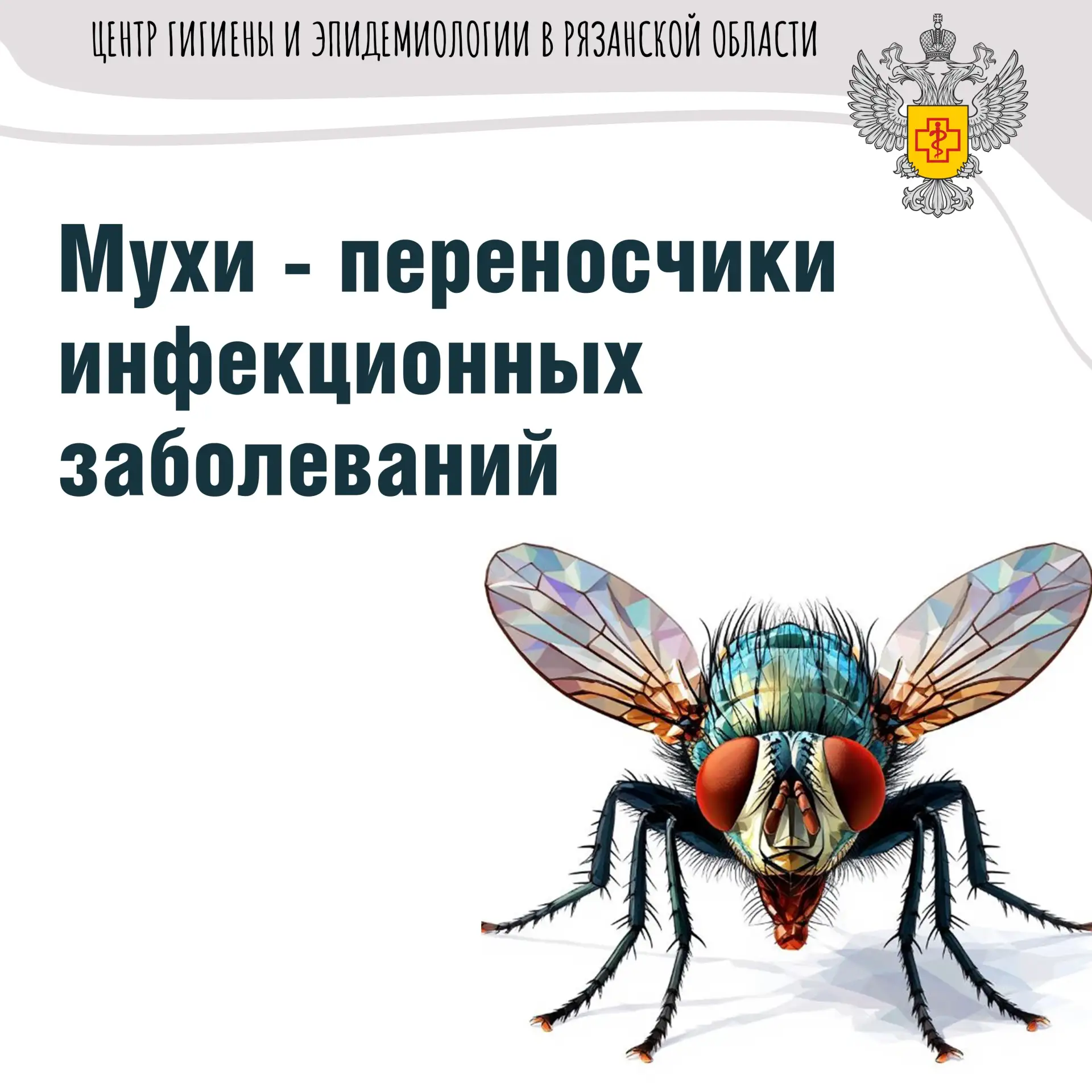 Мухи являются одними из самых опасных механических переносчиков инфекционных заболевани...