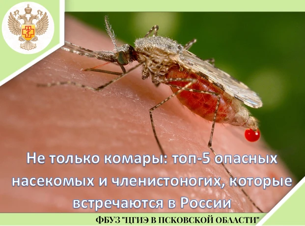 Лето начинается с приятных планов, но вместе с ними возвращаются и сезонные риски.
