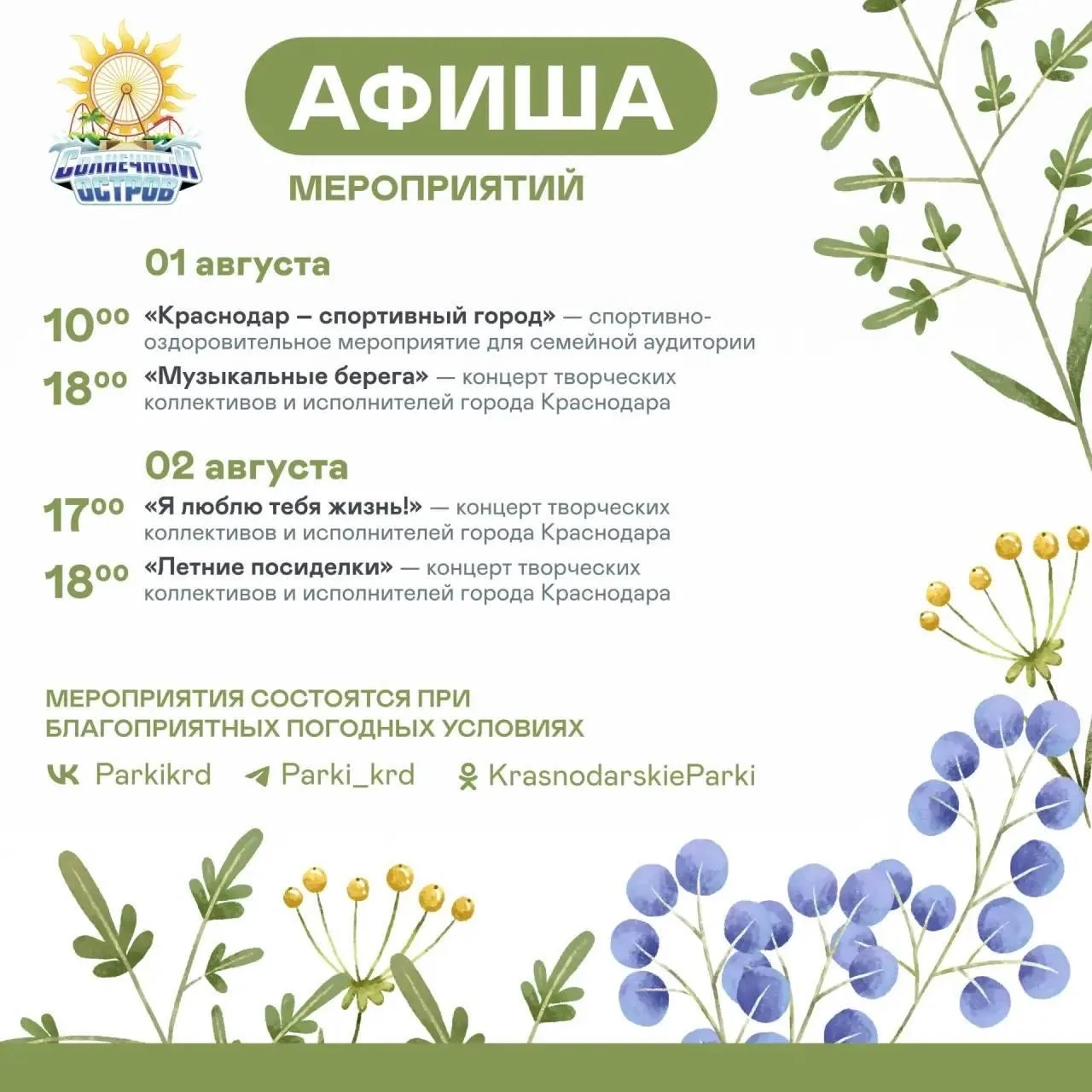 Медиа публикации