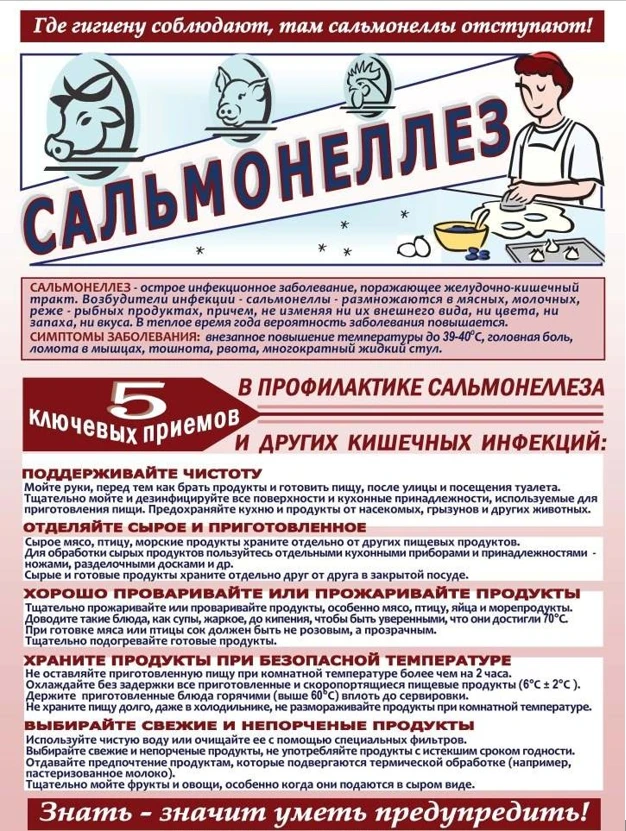 Уважаемые родители!

Сальмонеллёз — это острая кишечная инфекция, которая особенно опасна для детей 