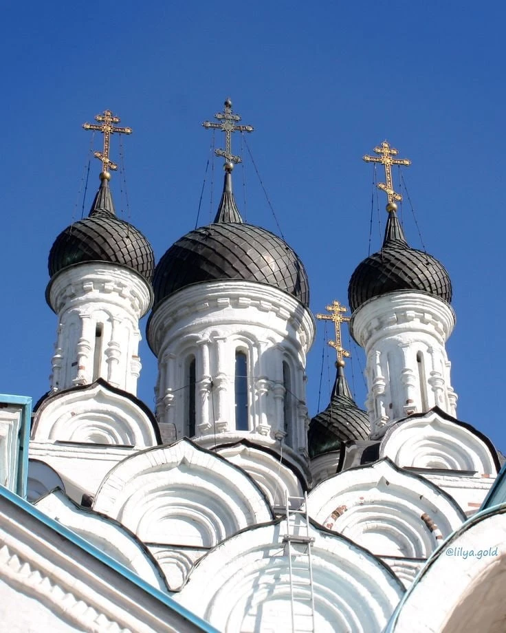 🙏 Храм Благовещения Пресвятой Богородицы утопает в цветении пионов

Москва радует. Подписаться