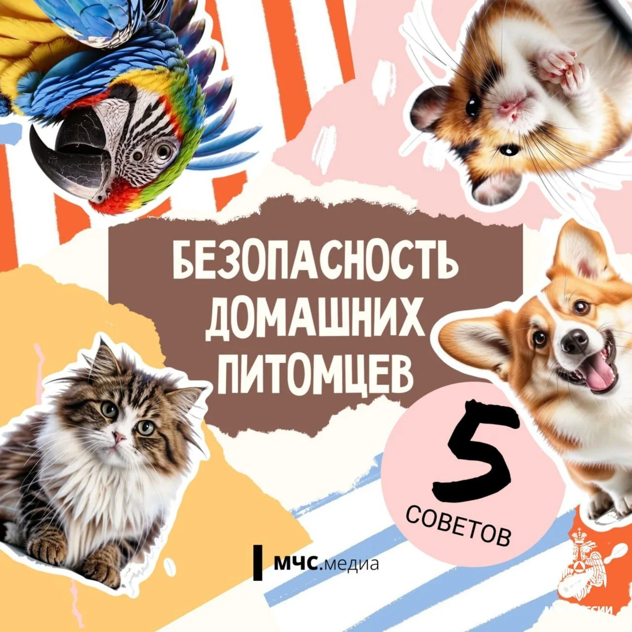 Забота о пушистых друзьях: безопасность домашних животных в твоём доме.