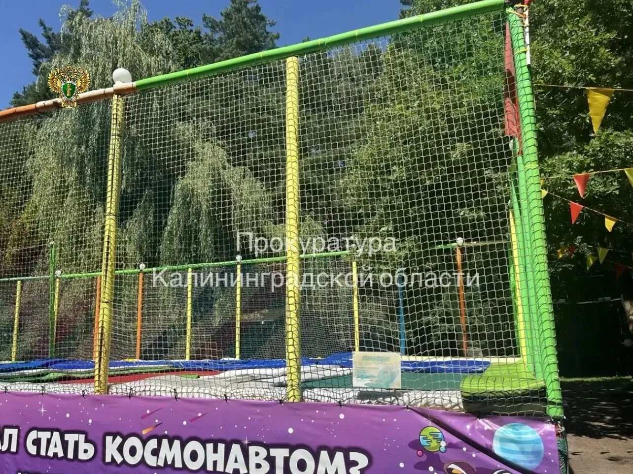 🧑‍⚖ Владельца игрового комплекса на Балтийском шоссе оштрафовали из-за незарегистриров...