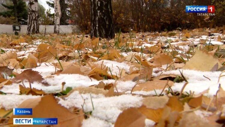 🌨 Облачно, осадки и риск гололедицы: прогноз погоды в Татарстане на сегодня