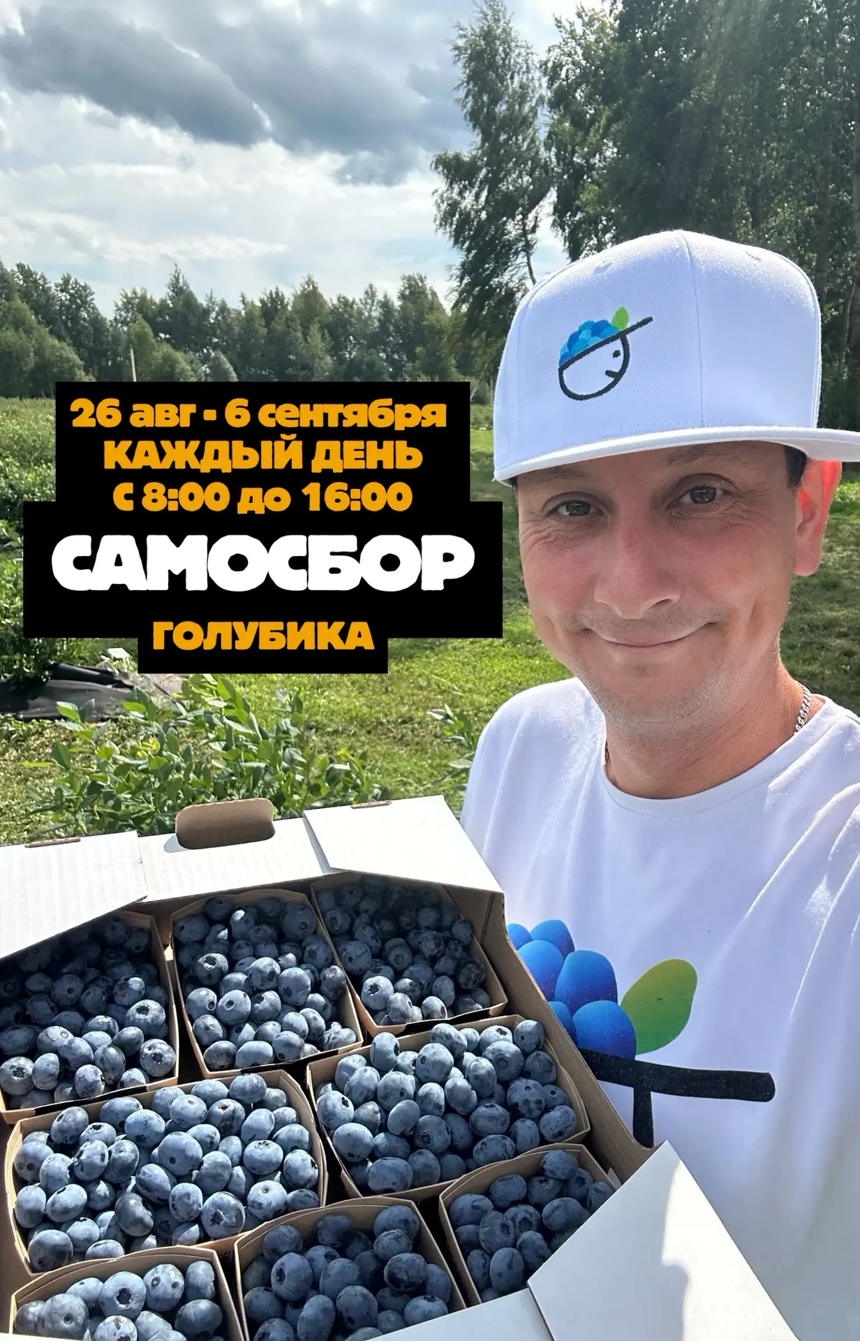 🫐 Самосбор голубики