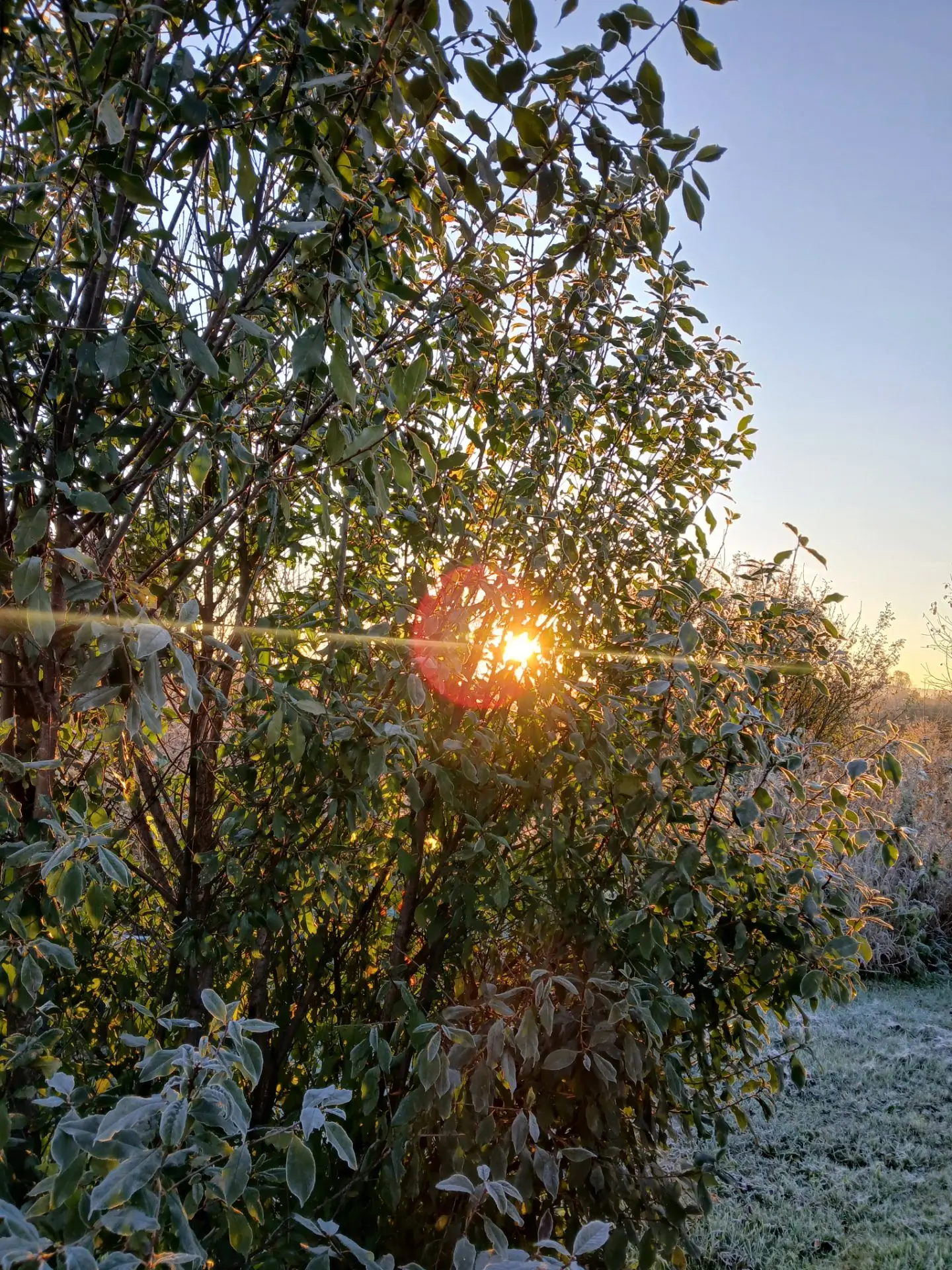 Доброе утро 🤗🌄