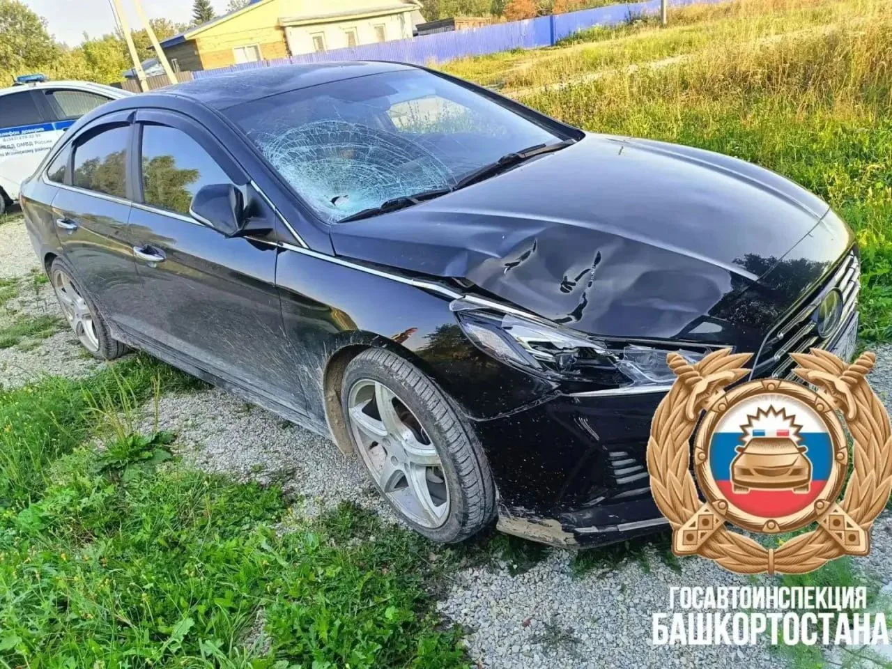 В Башкирии пьяная автоледи насмерть сбила женщину и скрылась

В селе Улу-Теляк ранним утром произошл