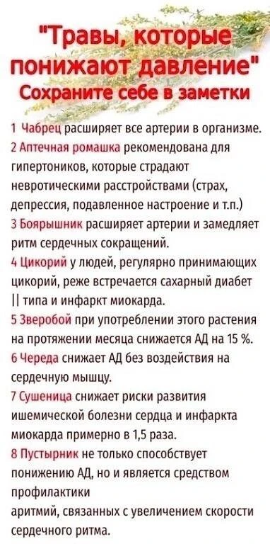 Изображение 1 к публикации «Кузница Здоровья»