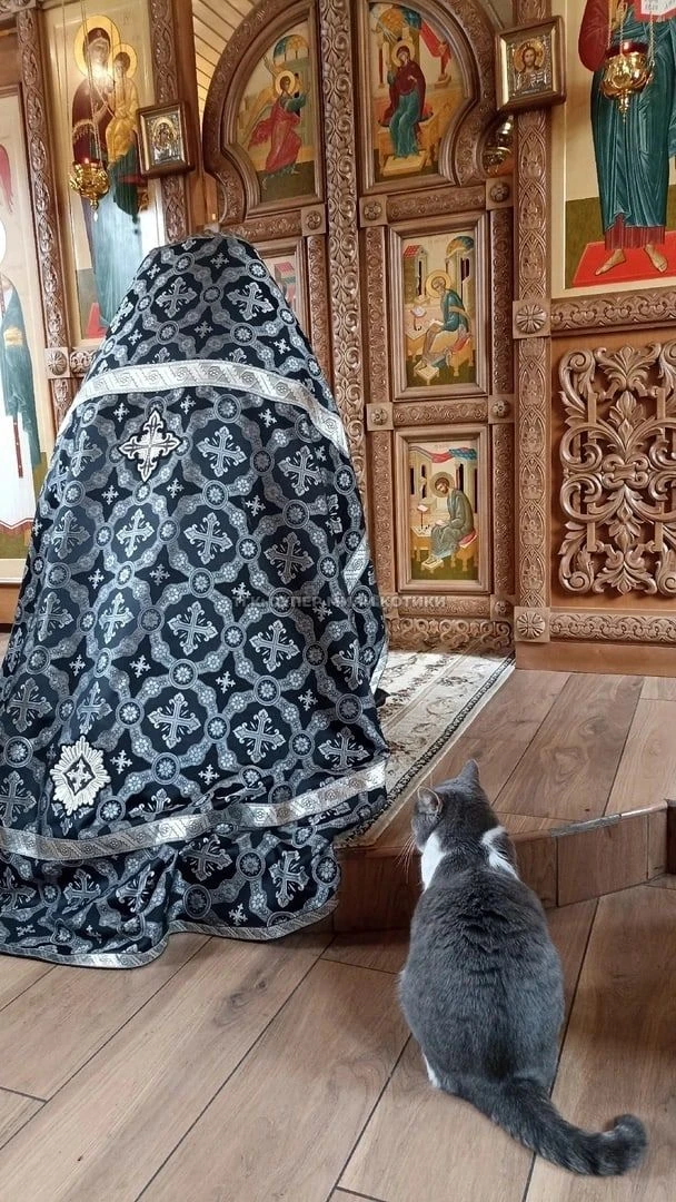 Внимательная молитва, чуждая рассеянности и мечтательности, есть видение невидимого Бог...
