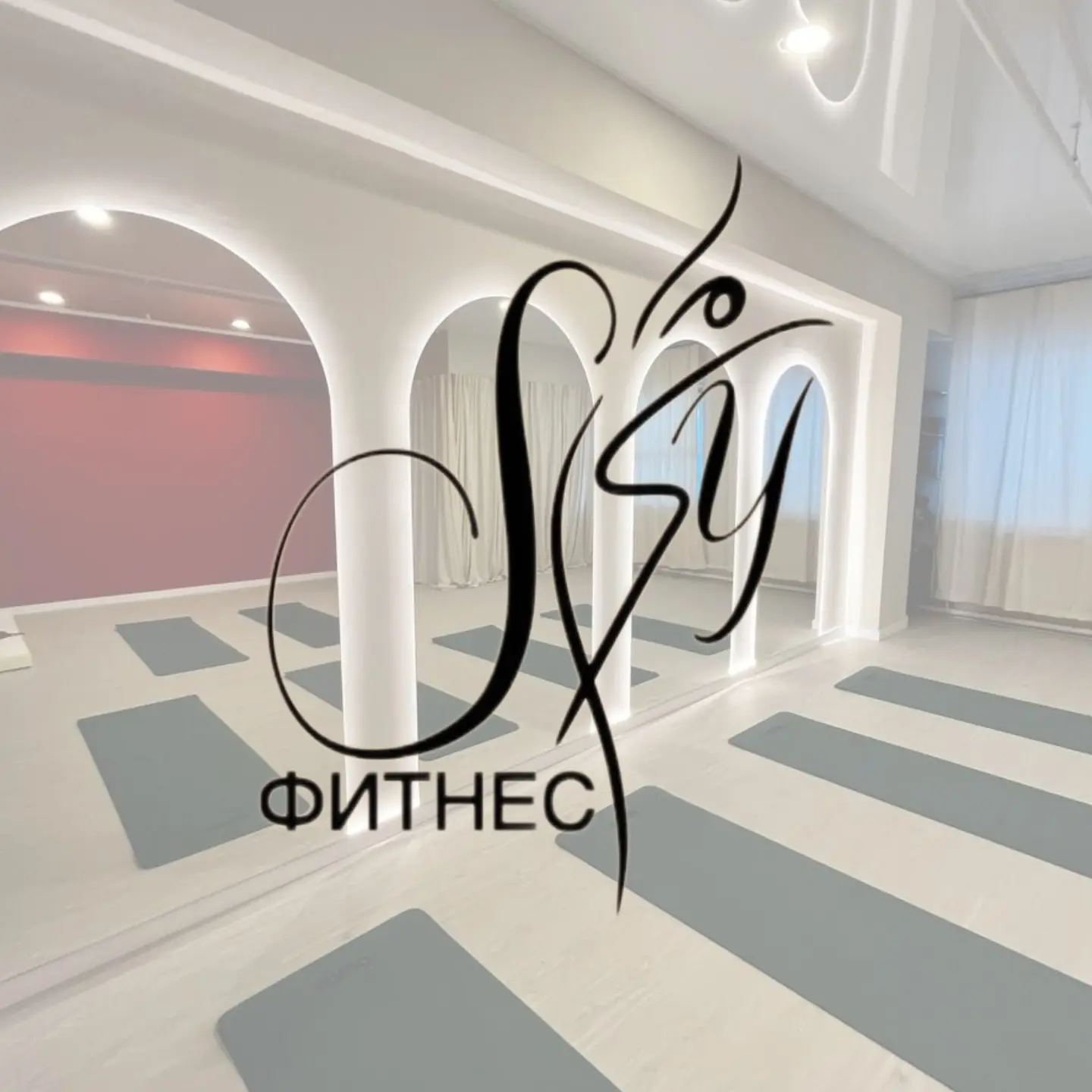 Контакты