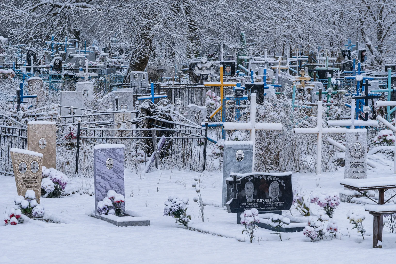 ⚰️ На «Госуслугах» появится сервис для поиска и покупки мест на кладбищах