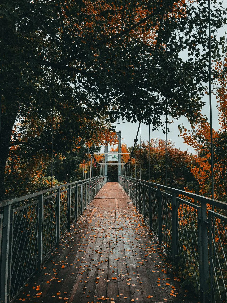 Доброй ночи, Рубцовск 🌜😴