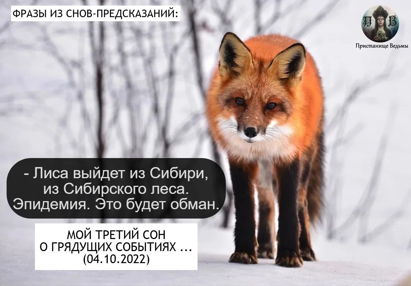 ☑️ ПО ТЕМЕ МАССОВОГО ИЗЪЯТИЯ И ЗАБОЯ СКОТА В РОССИИ...  ▶️  МОИ СНЫ О ГРЯДУЩИХ СОБЫТИЯХ (ПОЛНАЯ ПОДБ